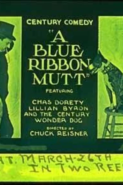 A Blue Ribbon Mutt