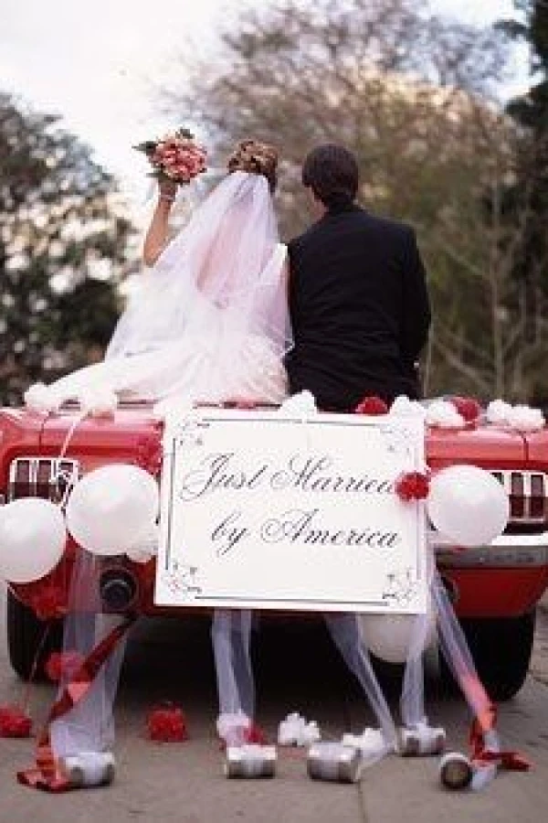 Married by America Poster
