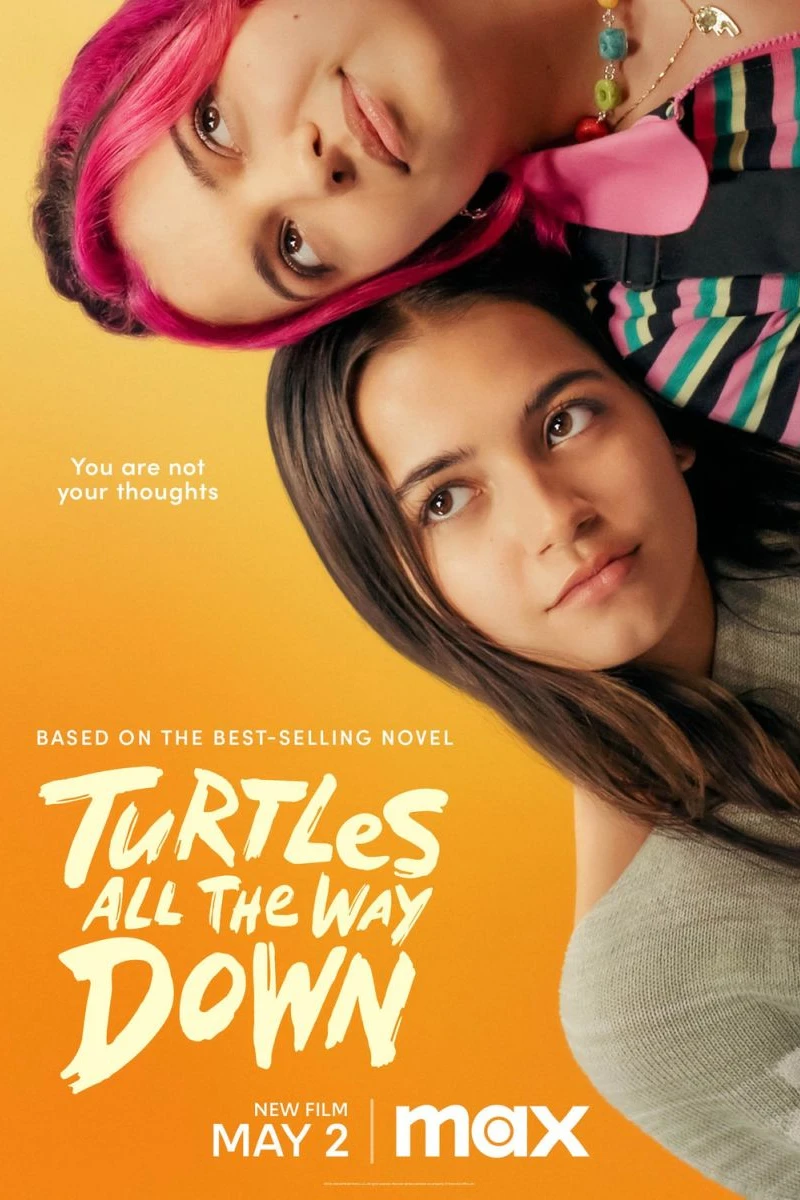 Turtles All the Way Down Poster