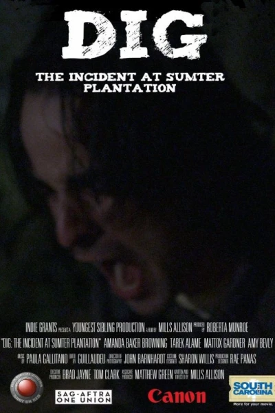 Dig: The Incident at Sumter Plantation