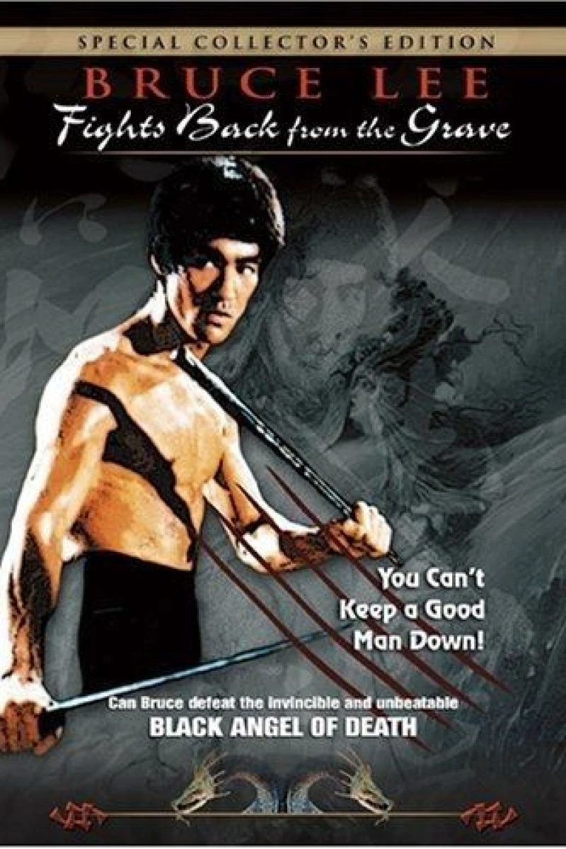 Bruce Lee Fights Back from the Grave Poster