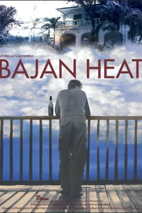Bajan Heat Poster