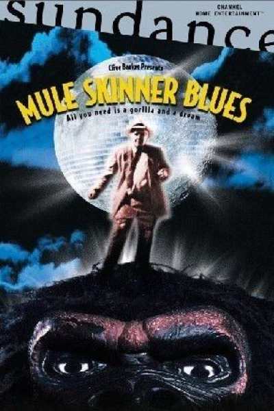 Mule Skinner Blues