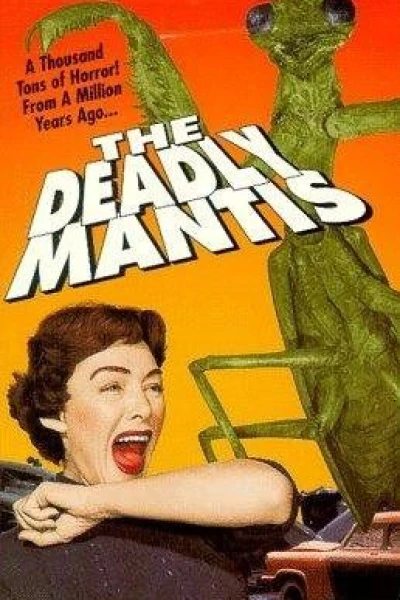 The Deadly Mantis