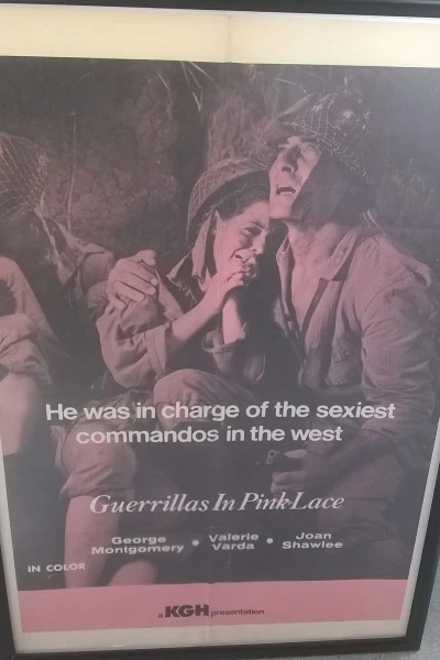 Guerillas in Pink Lace