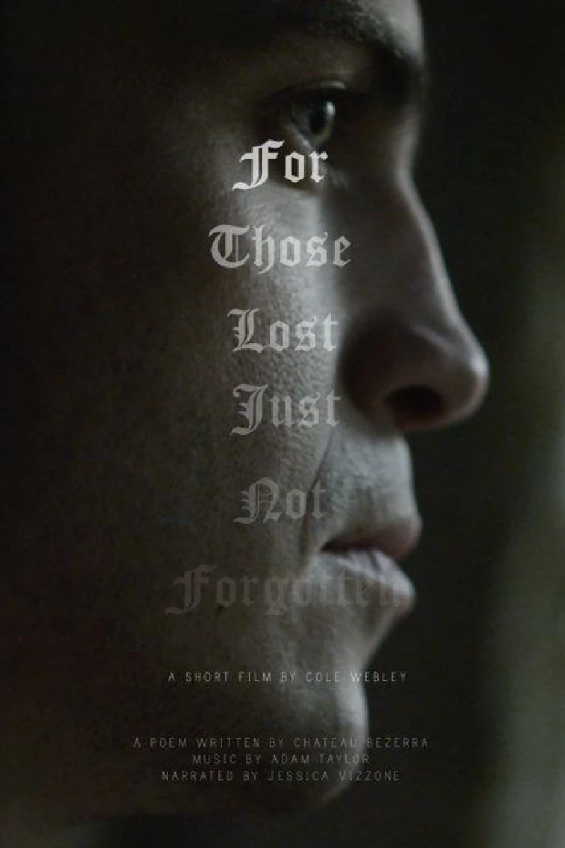 For Those Lost, Just Not Forgotten Poster