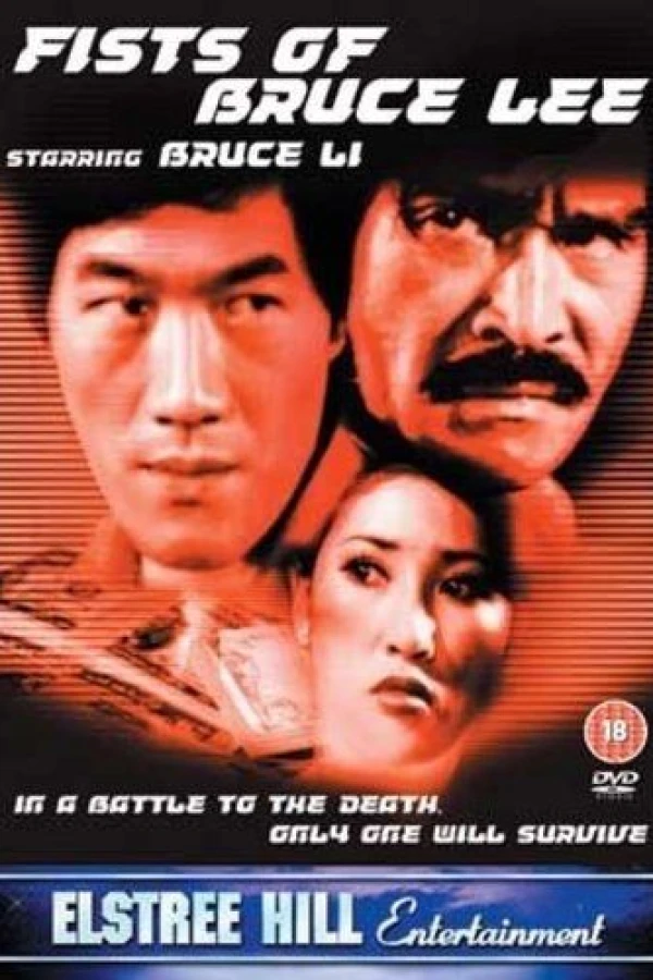 Fists of Bruce Lee Poster