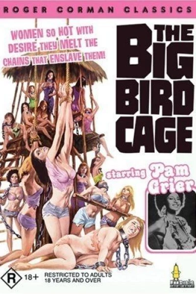 The Big Bird Cage