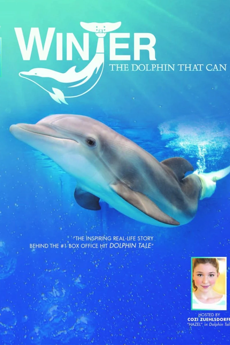 Winter, the Dolphin That Can Poster