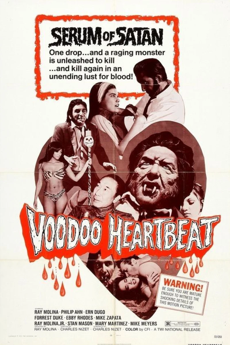 Voodoo Heartbeat Poster