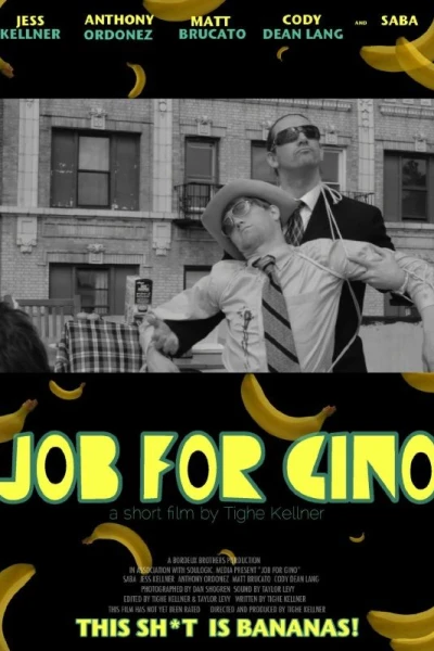 Job for Gino