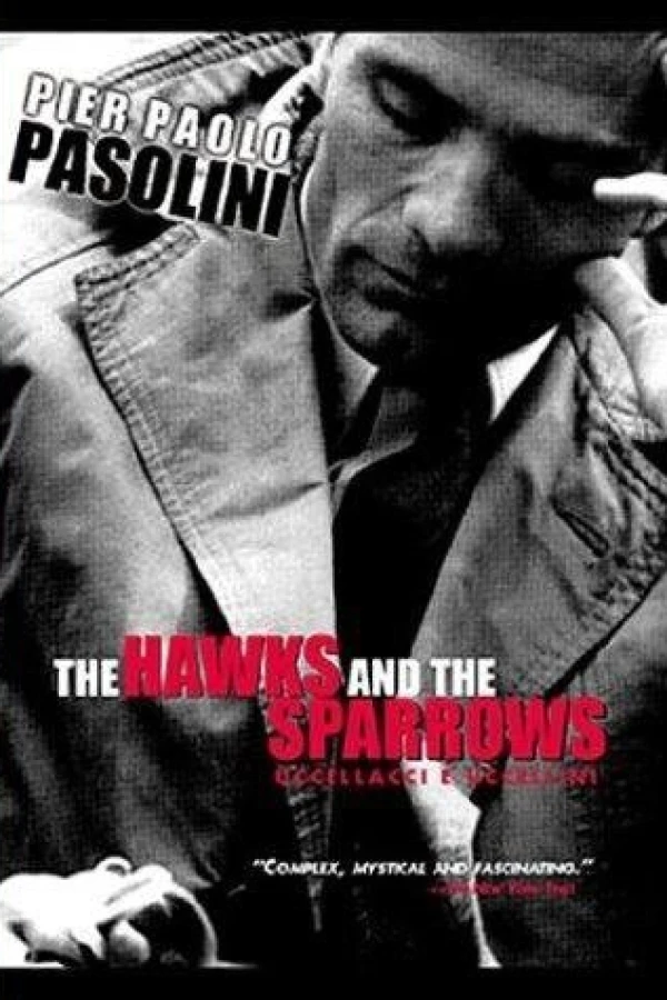 The Hawks and the Sparrows Poster