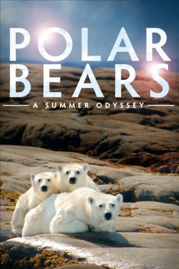 Polar Bears: A Summer Odyssey Poster