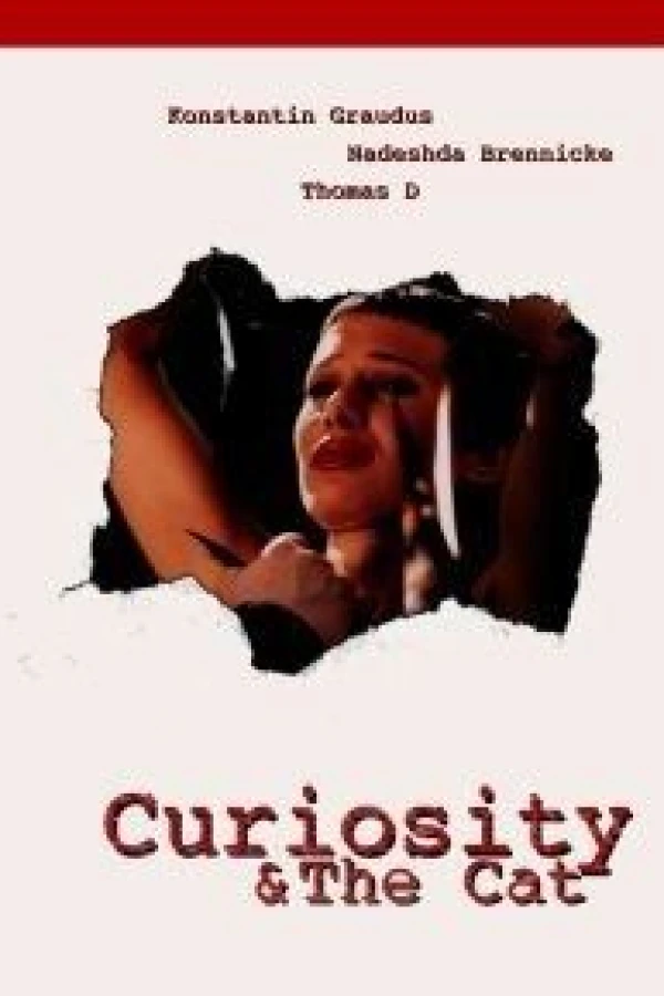 Curiosity the Cat Poster