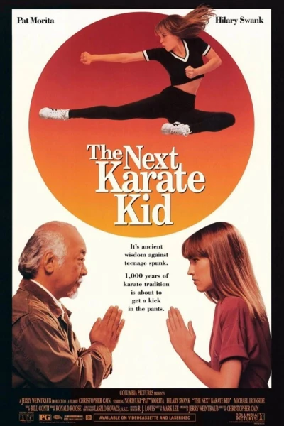 Karate Kid - Mästarens nya elev