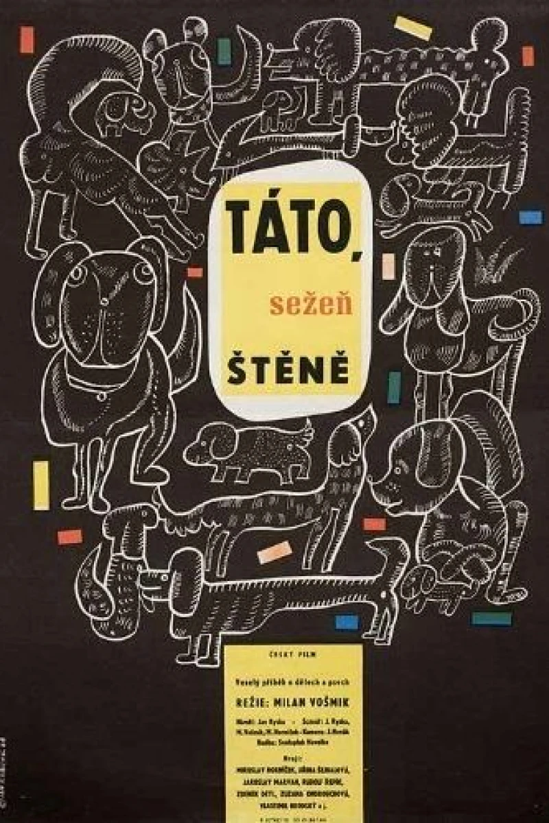 Táto, sezen stene Poster