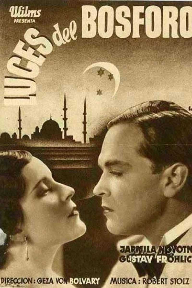 Die Nacht der großen Liebe Poster