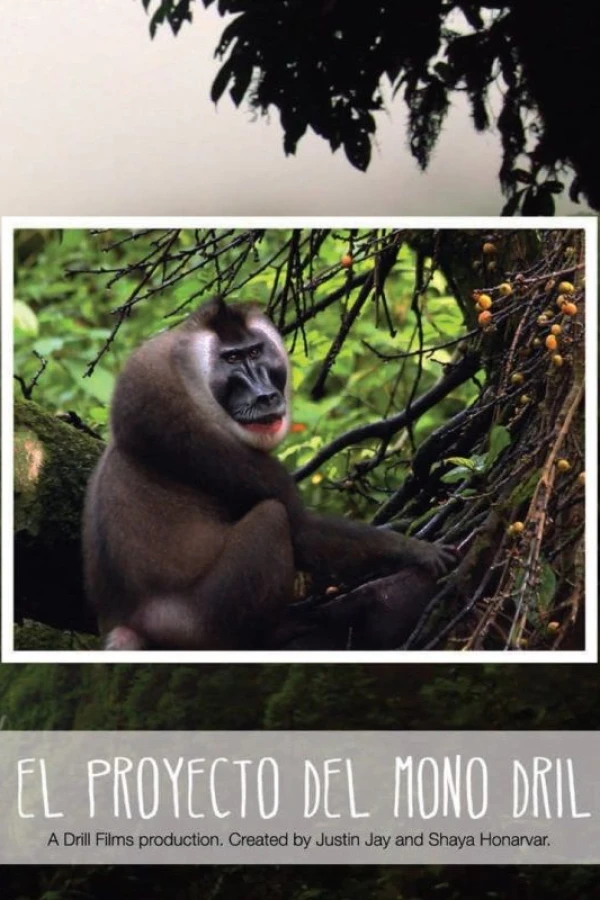 El Proyecto del Mono Dril Poster