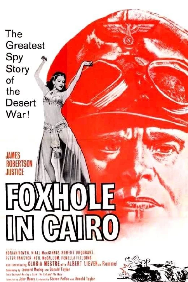 Foxhole in Cairo Poster