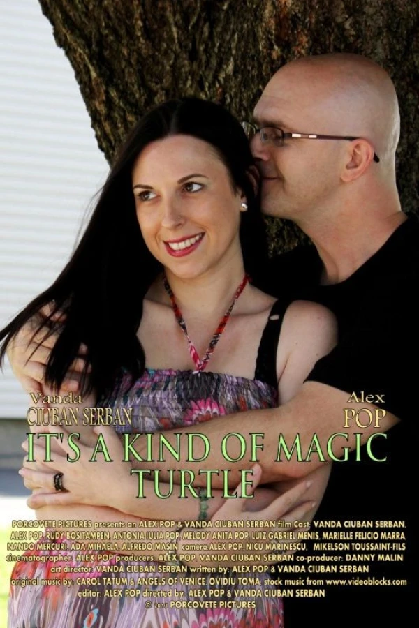 It's A Kind of Magic Turtle Poster