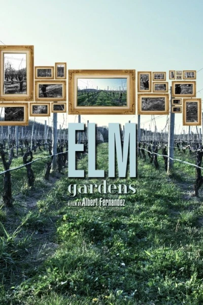 Elm Gardens