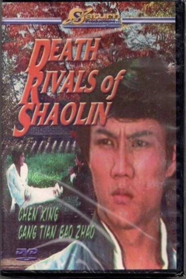 Kung Fu, the Invincible Fist Poster