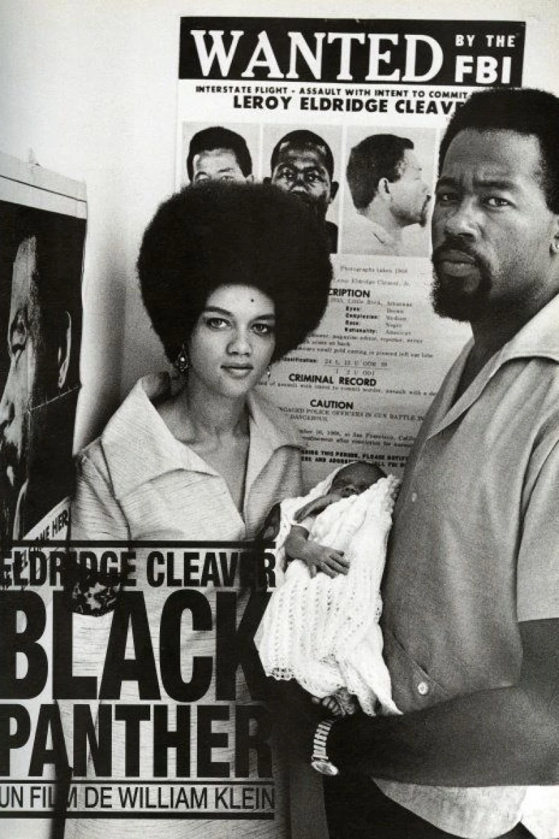 Eldridge Cleaver, Black Panther Poster