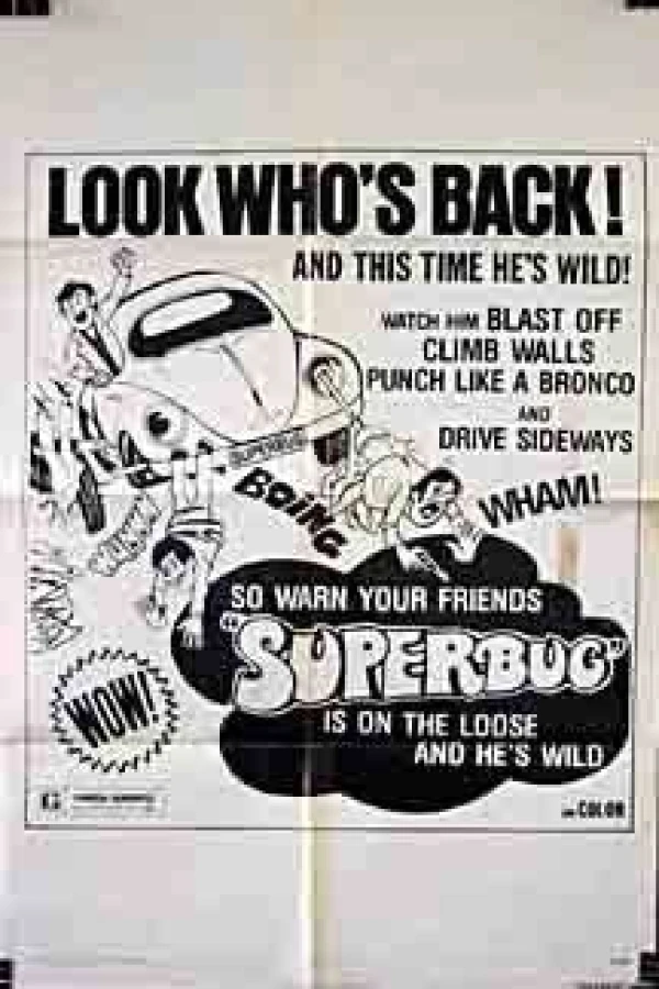 The Love Bug Rally Poster