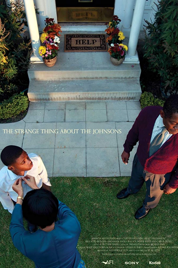 The Strange Thing About the Johnsons Poster