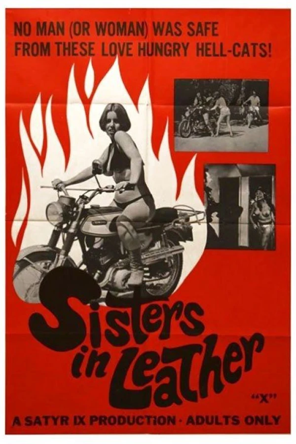 Sisters in Leather Poster