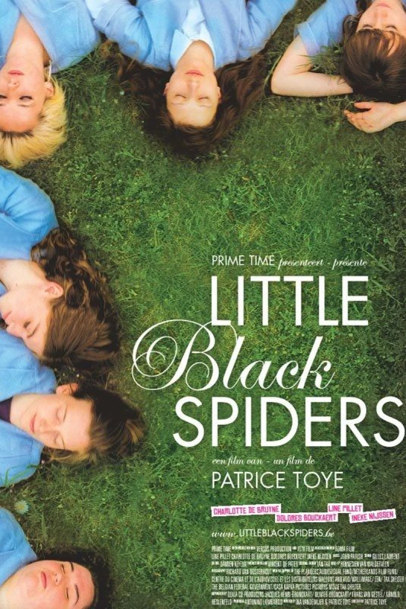 Little Black Spiders Poster