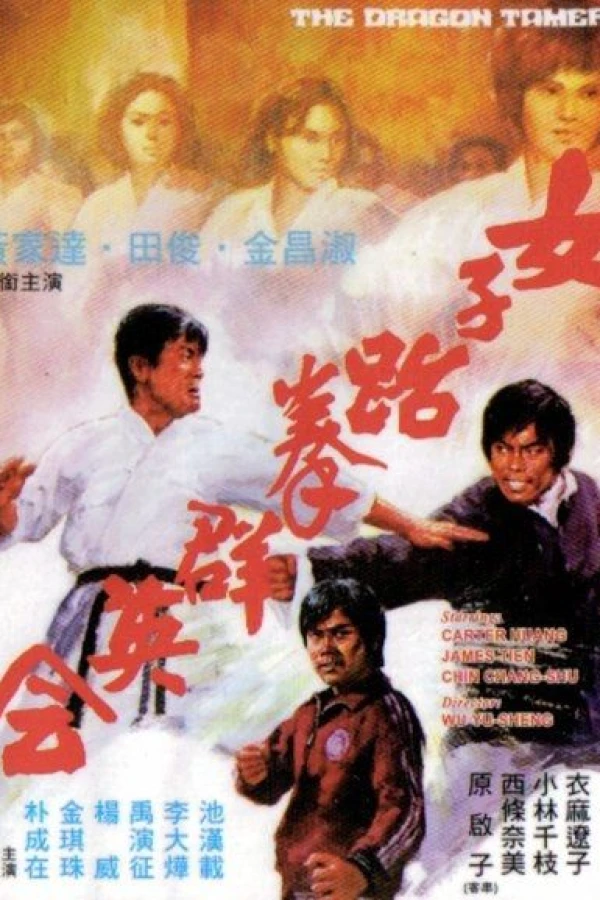Nu zi tai quan qun ying hui Poster