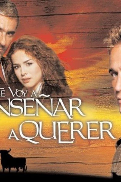 Te Voy a Enseñar a Querer