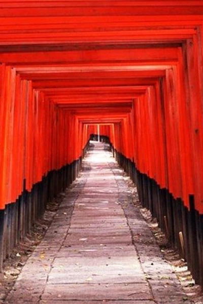 Japon: Sur la route des festivités