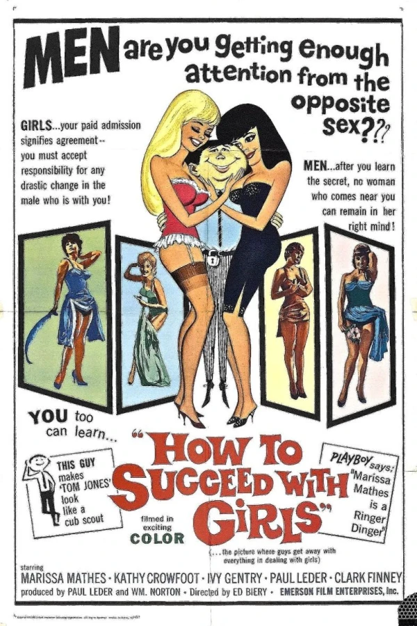 How to Succeed with Girls Poster