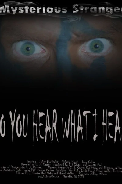 Do You Hear What I Hear?