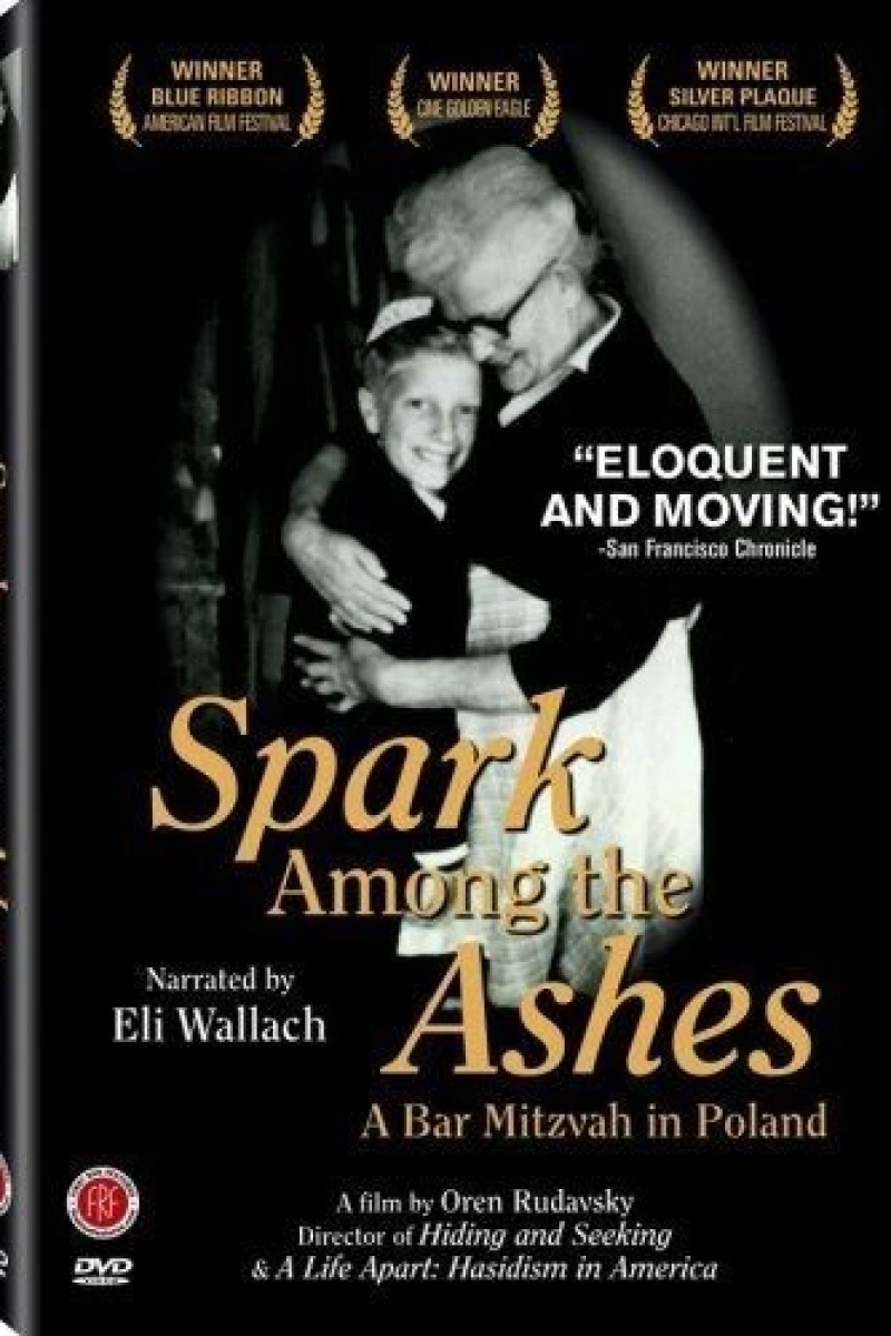 Spark Among the Ashes: A Bar Mitzvah in Poland Poster