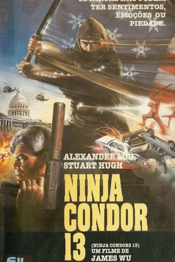 Ninja Condors Poster