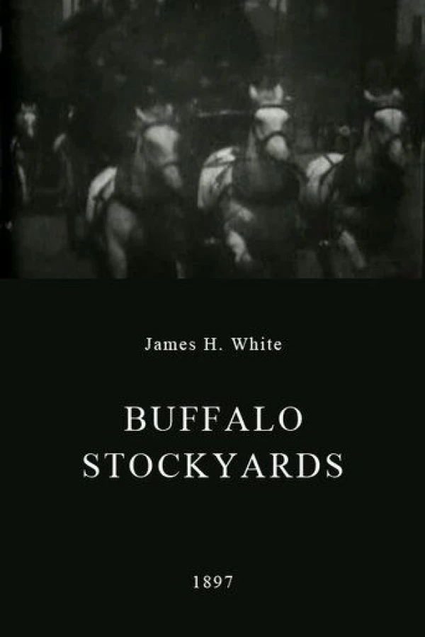 Buffalo Stockyards Poster