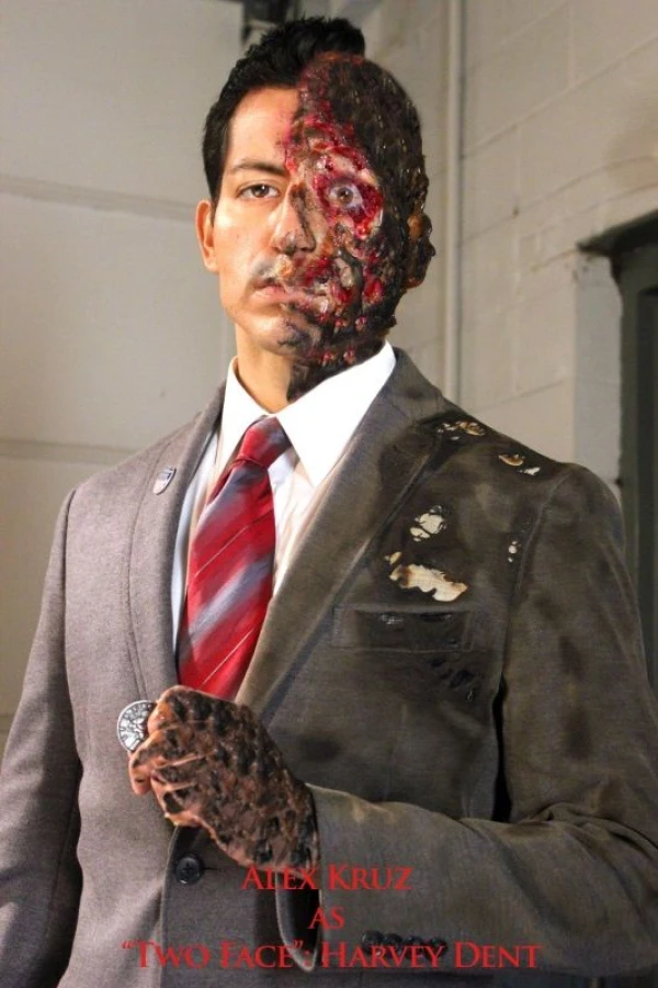 Batman: Two Face's Revenge Poster