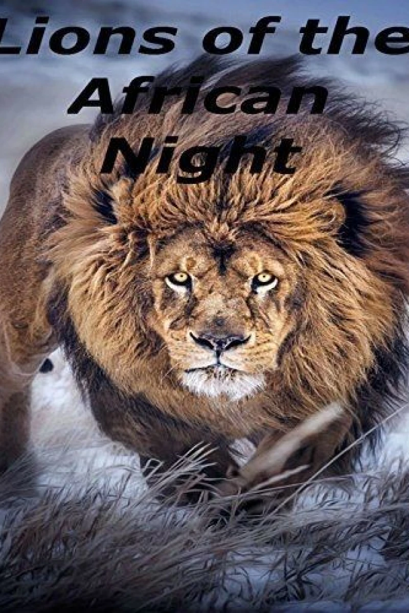 Lions of the African Night Poster