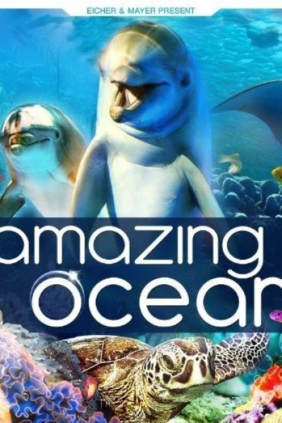 Amazing Ocean 3D