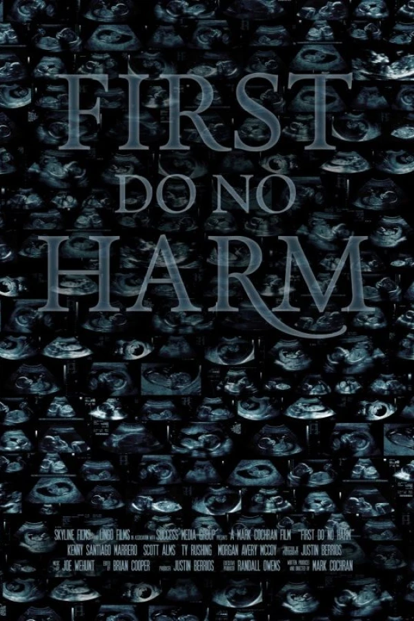 First, Do No Harm Poster