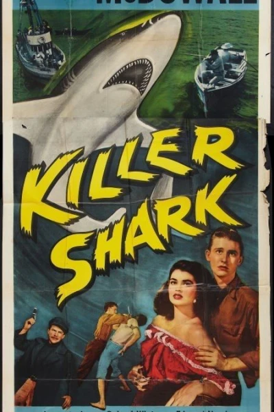 Killer Shark