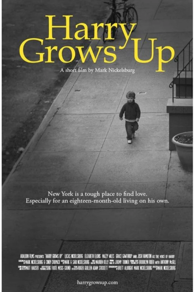 Harry Grows Up Poster