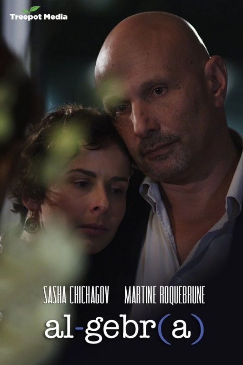 Algebra: A Reunion of Broken Parts Poster