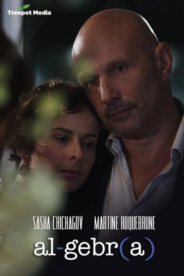 Algebra: A Reunion of Broken Parts Poster