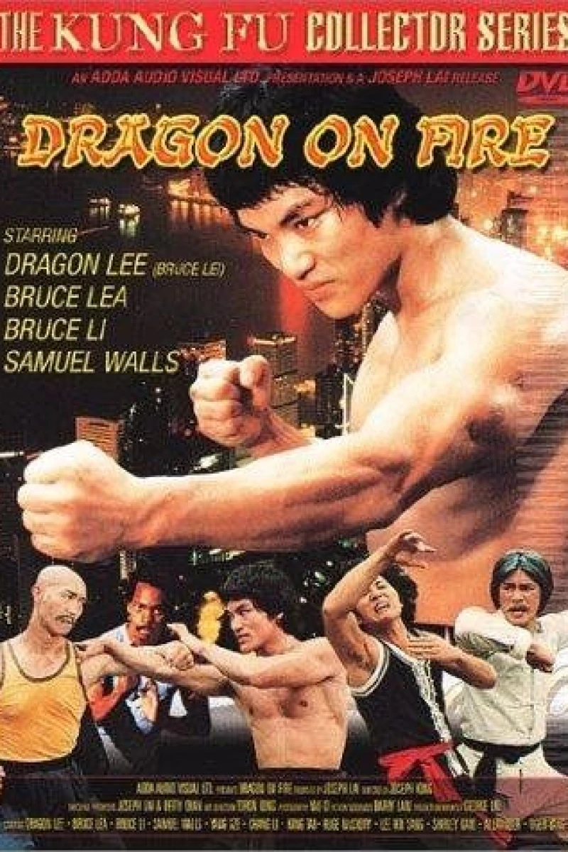 Dragon on Fire Poster