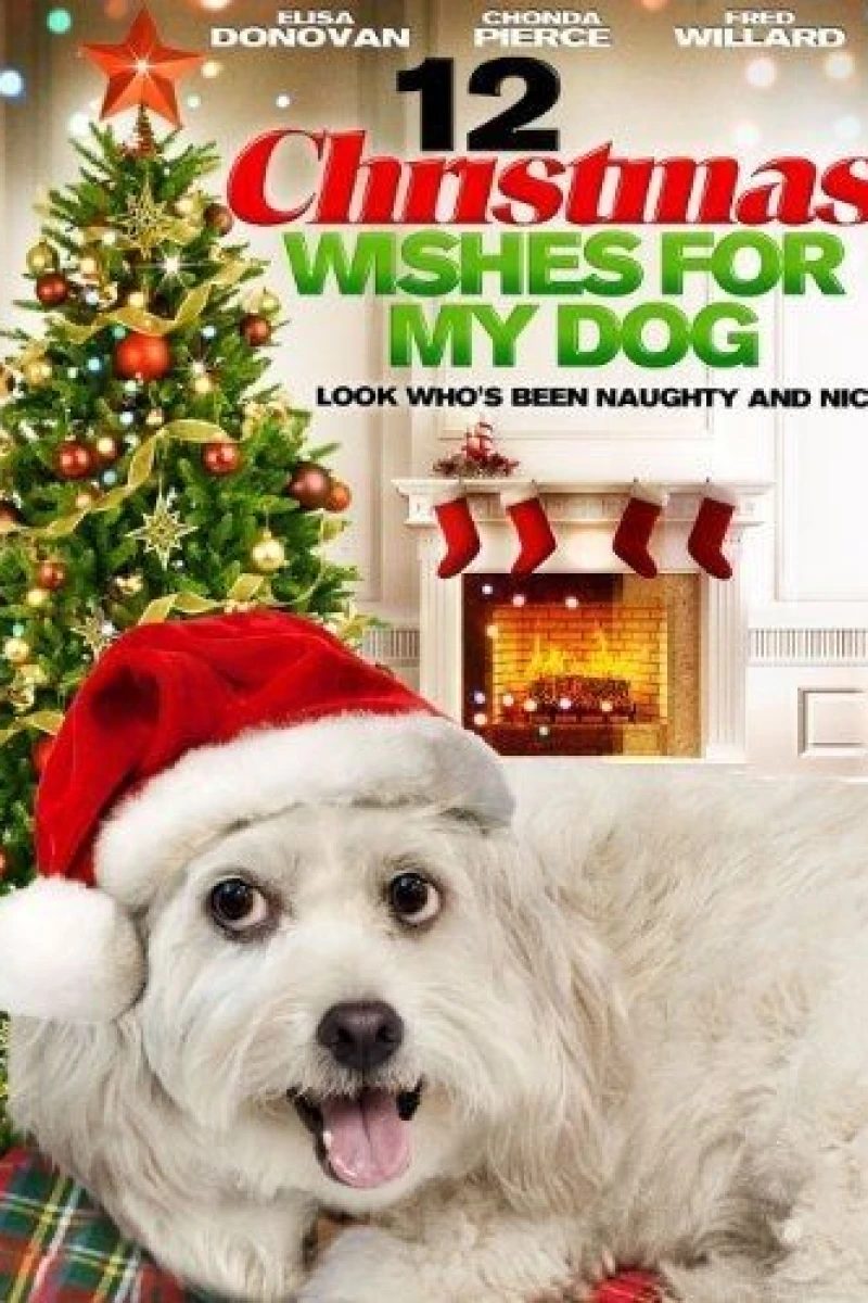 12 Wishes of Christmas Poster