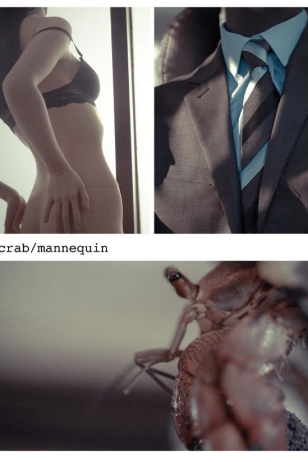 crab/mannequin Poster